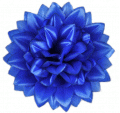 Георгінія К100