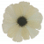 K120