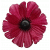 K142