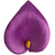 К240