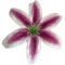 К102